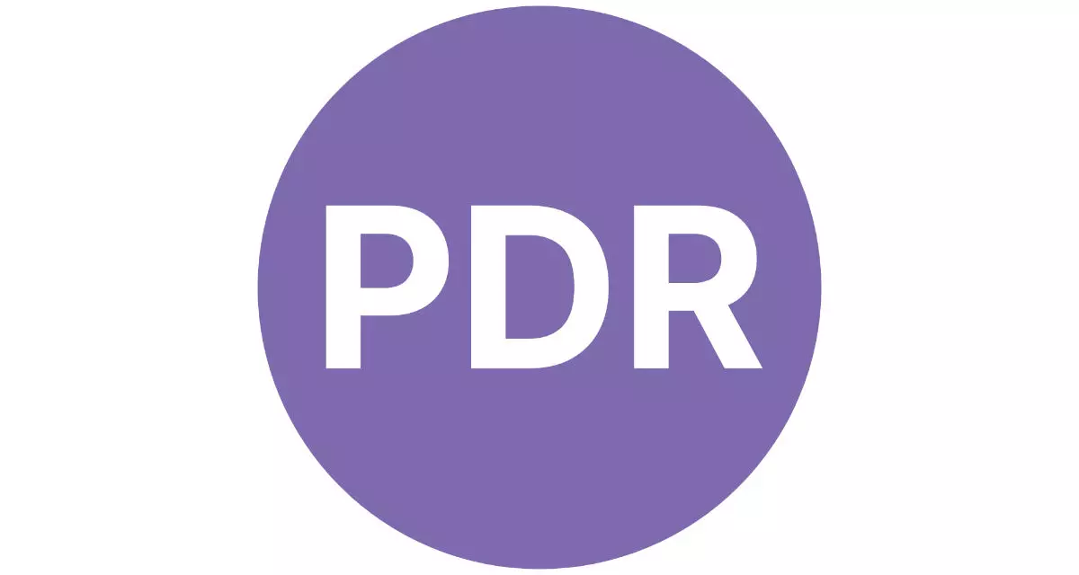 Logo Partei der Rentner