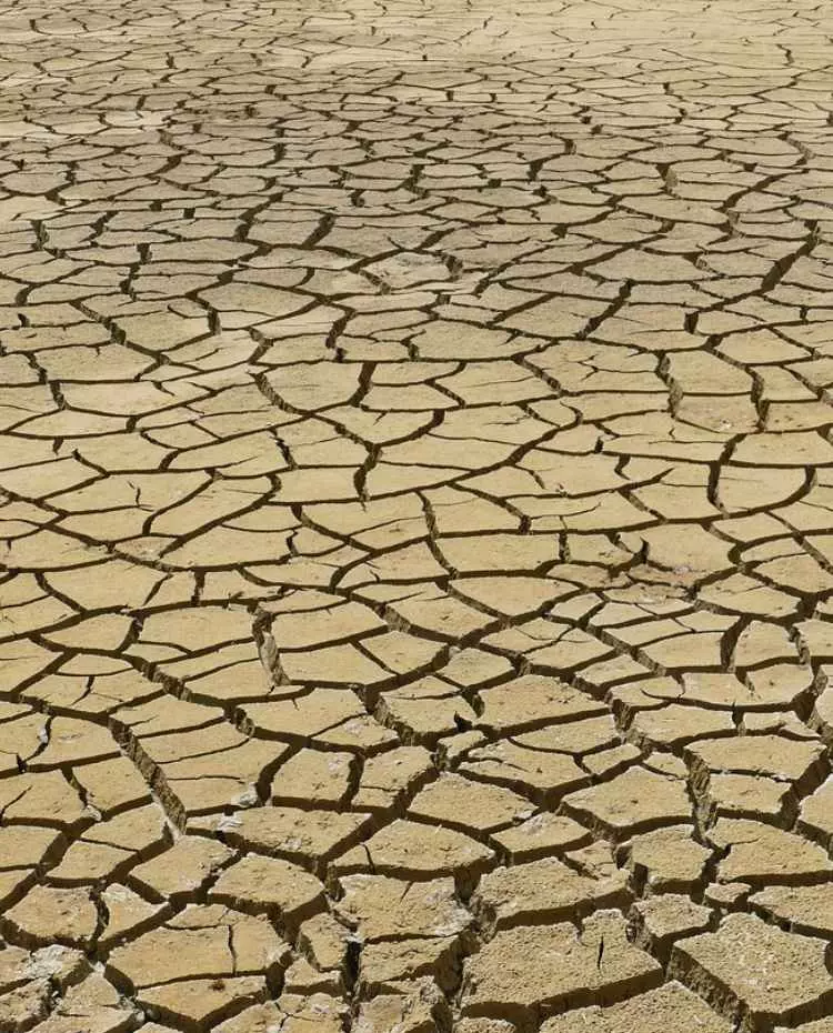 Ein ausgetrockneter Boden. Foto: Pixabay|MrsBrown