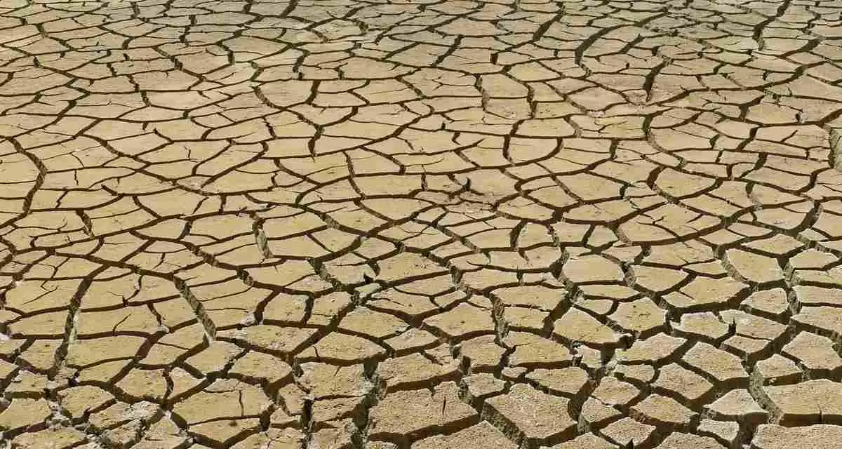 Symbolbild Klimawandel. Foto: Pixabay | MrsBrown Ein ausgetrocknetes Stück Land.