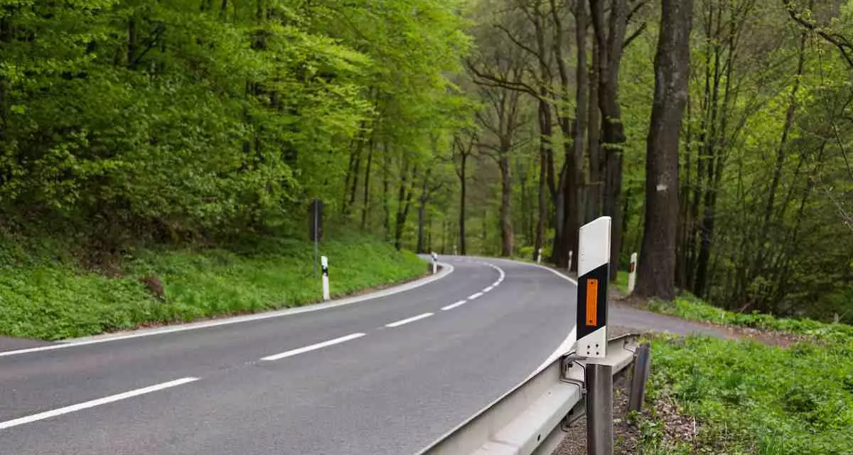 Eine Landstraße führt durch ein Waldgebiet.