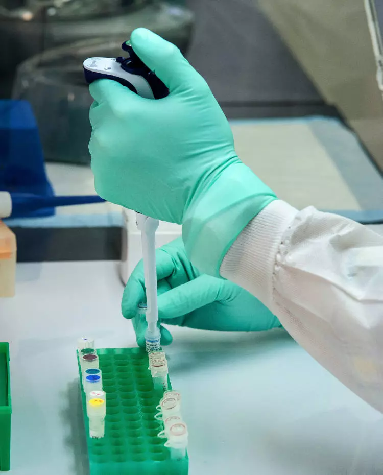 Hände hantieren in einem Labor. Foto: Unsplash|cdc